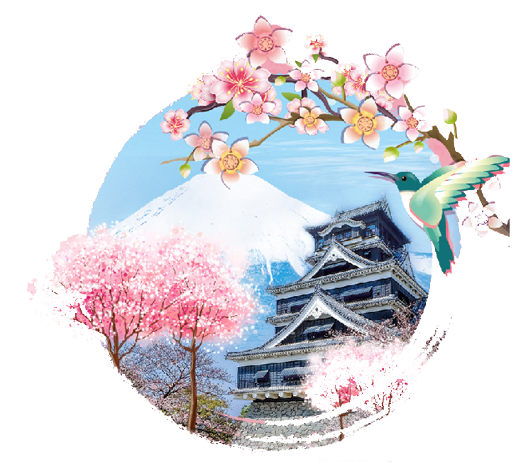 The Best IPTV Service in Japan - RapidIPTV The Best IPTV Service in Japan