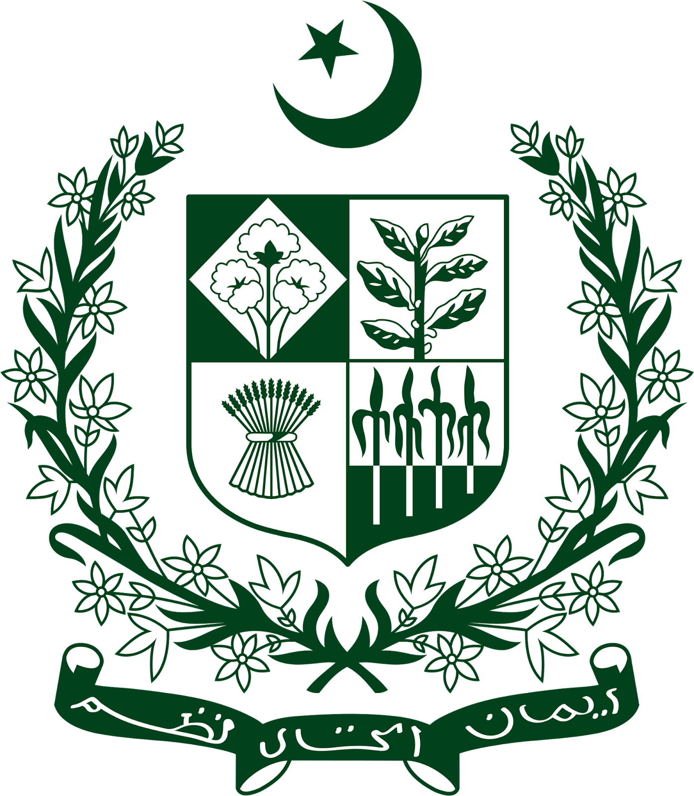 Government of Pakistan Constitution - RapidIPTV Cheapest IPTV Service in Pakistan